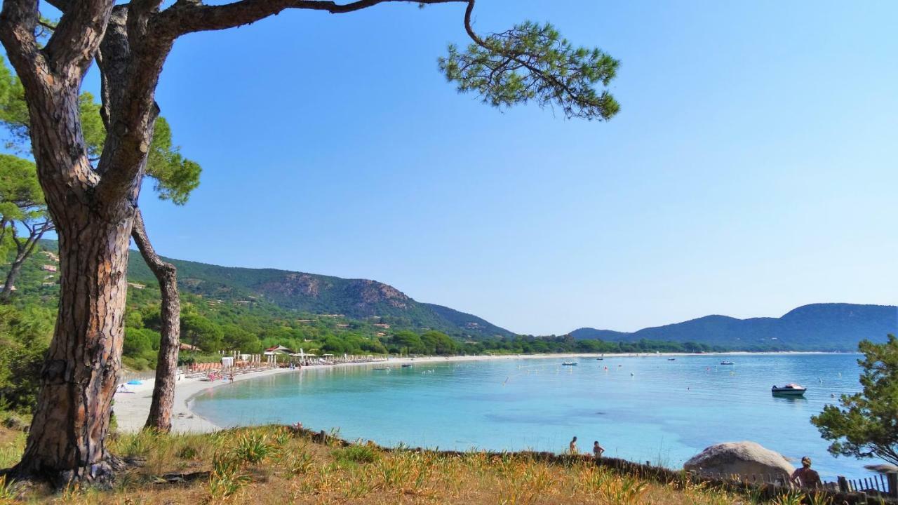 A Altezza Palombaggia Vila Porto-Vecchio  Exterior foto
